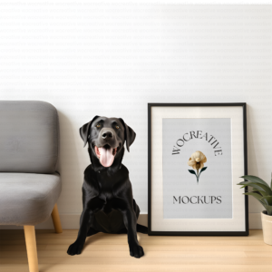 Black Labrador Mockup with Modern Frame